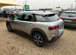 CITROËN C4 CACTUS 1.5 bluehdi 100cv feel business 